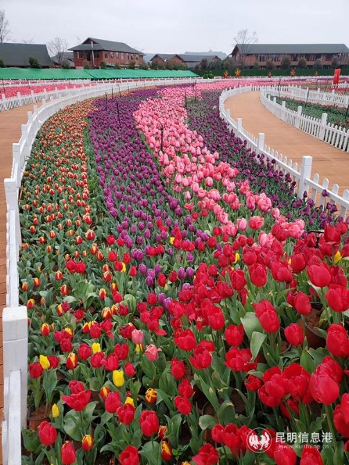 QQ图片20200219091800