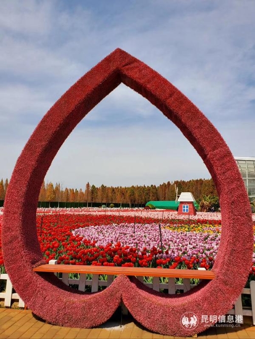 QQ图片20200219091756