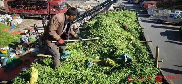  云南农产品农业