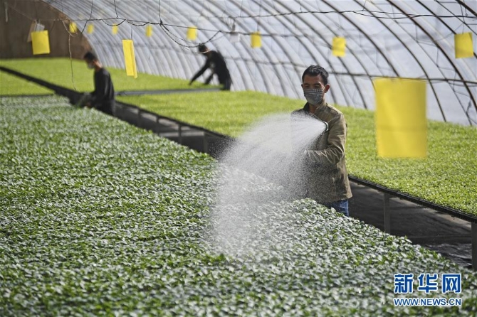 1125614582_15824442514311n