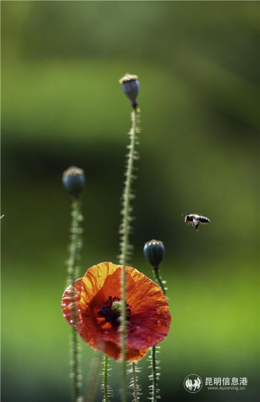 mmexport1582709920673 mmexport1582709920673