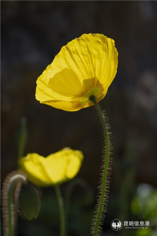 mmexport1582709987200 mmexport1582709987200