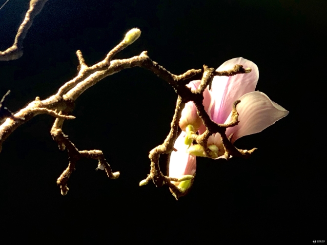 微信图片_20200227170458 微信图片_20200227170458