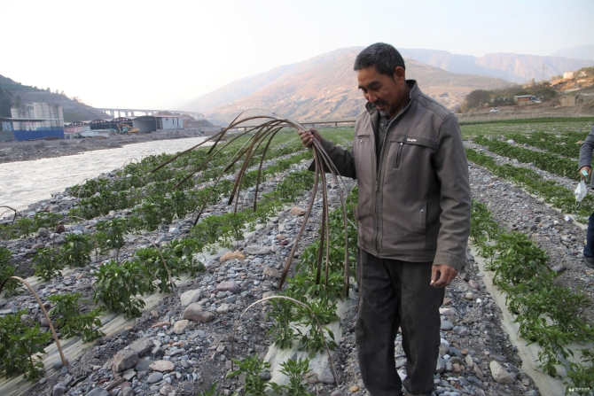 微信图片_20200228111012