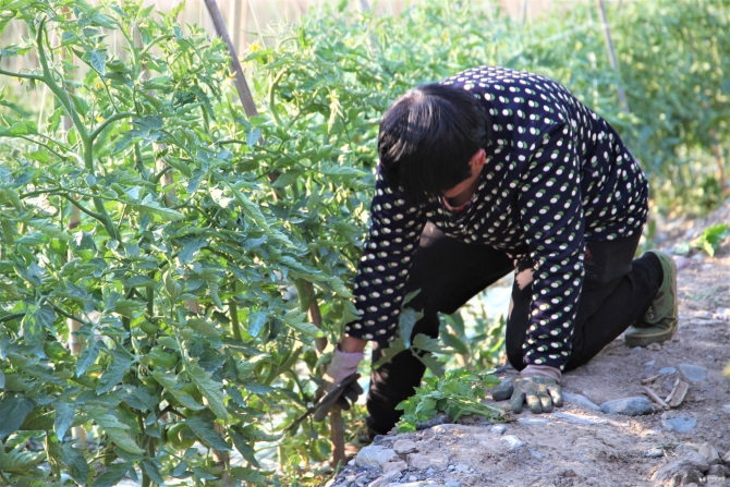 微信图片_20200228111008