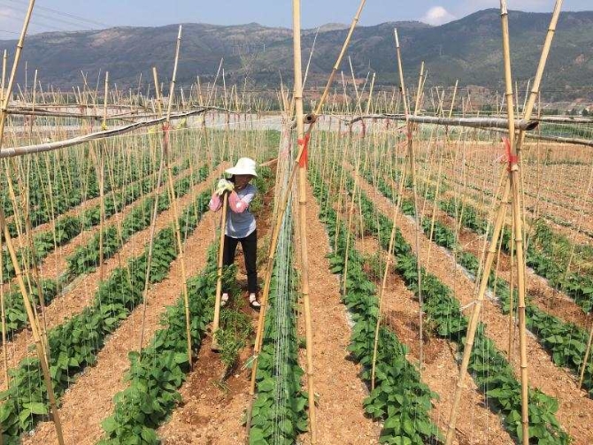 微信图片_202002281431241