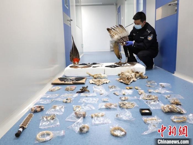 警方查获的野生动物制品 吉林省森林公安局供图 摄