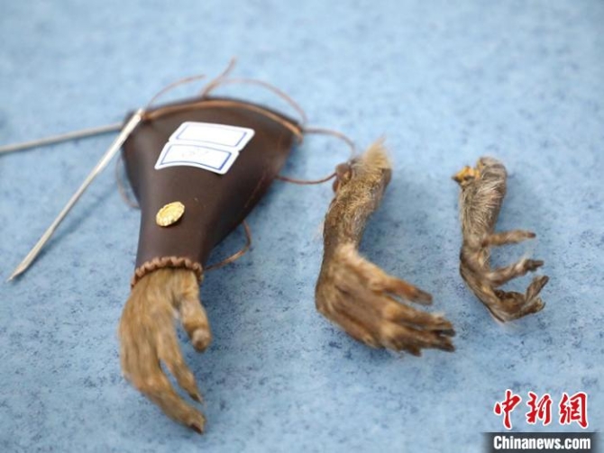 警方查获的野生动物制品 吉林省森林公安局供图 摄
