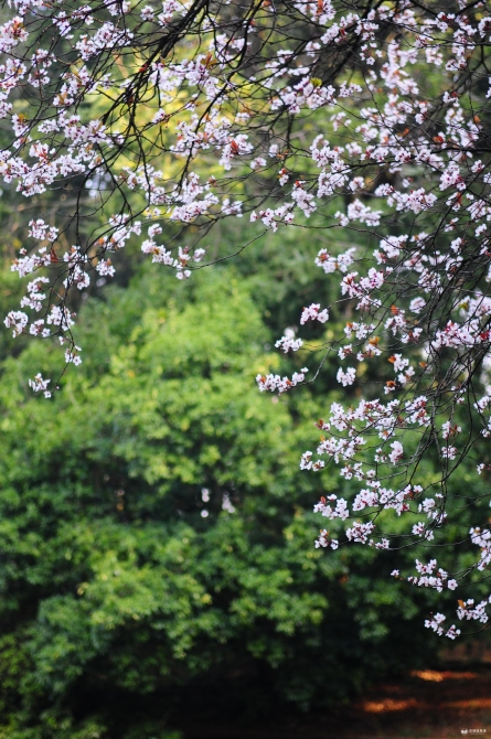 Cache_51bf051d8bb21623.