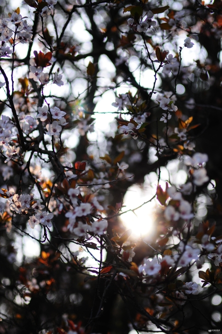 Cache_-590da877f9fb6c3d.