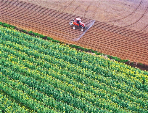 res01_attpic_brief.jpg res01_attpic_brief.jpg