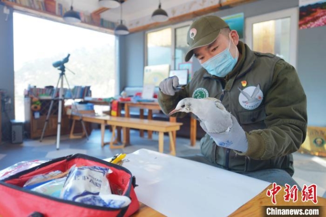 山东青岛：志愿者用行动呼吁“禁食野味战胜疫情”