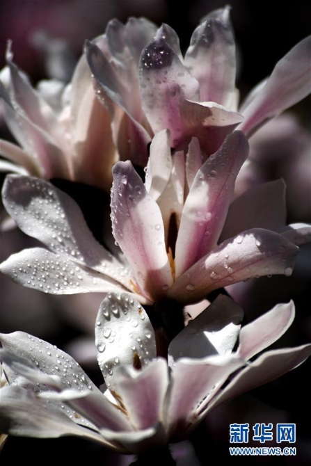 005056b885bc1fc9576409