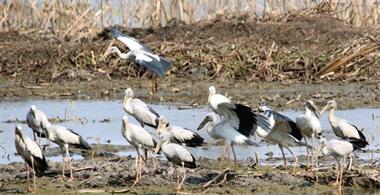 2020030707_res11_attpic_brief 2020030707_res11_attpic_brief