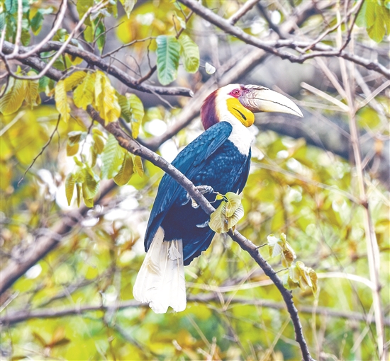 2020030707_res03_attpic_brief 2020030707_res03_attpic_brief