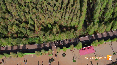 昆明景区恢复开放