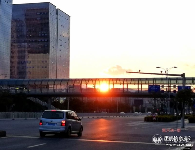 图片3 投稿作品《迎着晚霞回家》