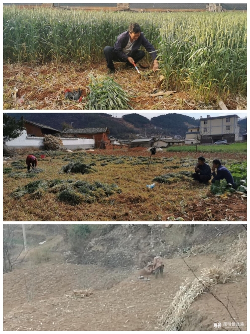 微信图片_20200311155558