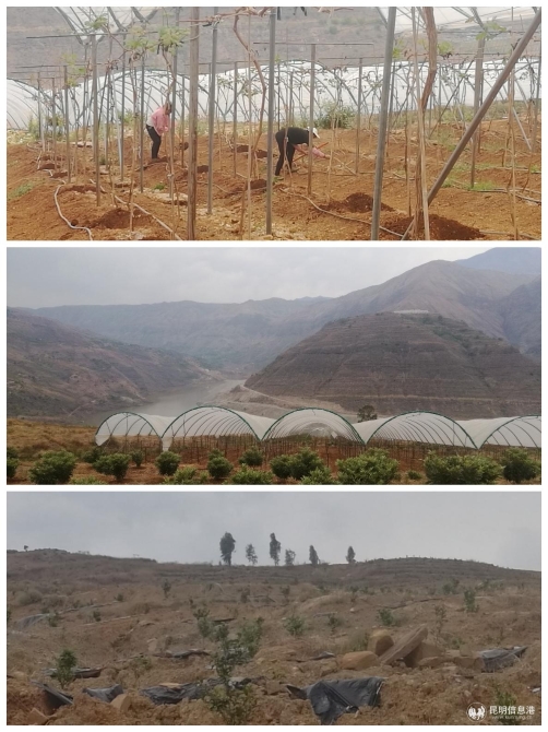 微信图片_20200311155544