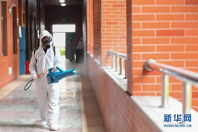 005056b8df461fd51ec31a