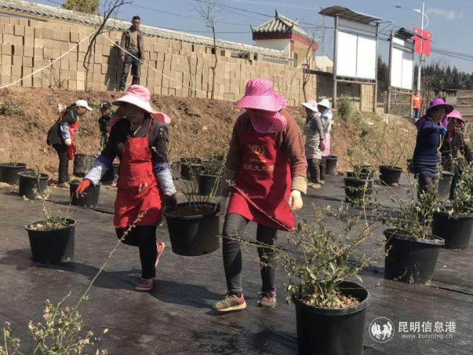 微信图片_20200313110539 微信图片_20200313110539