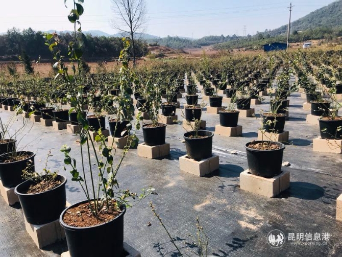 微信图片_20200313110536 微信图片_20200313110536