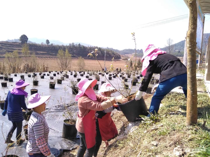 微信图片_20200313110532 微信图片_20200313110532