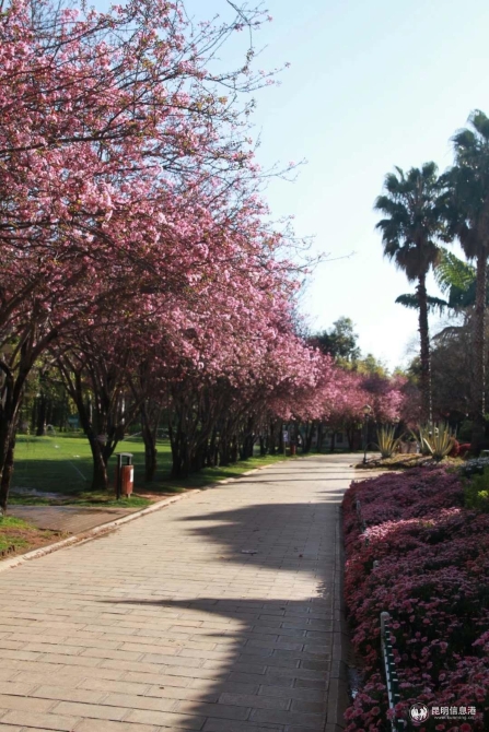 微信图片_20200314200124