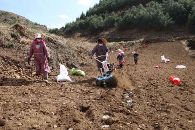 微信图片_20200315144607 微信图片_20200315144607