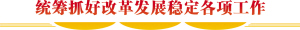 统筹抓好改革发展稳定各项工作