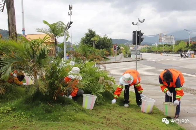 农村人居环境整治村庄清洁行动方案