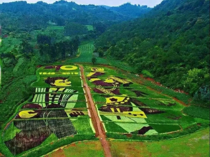 农村人居环境整治村庄清洁行动方案