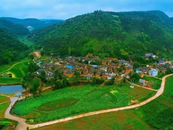 农村人居环境整治村庄清洁行动方案