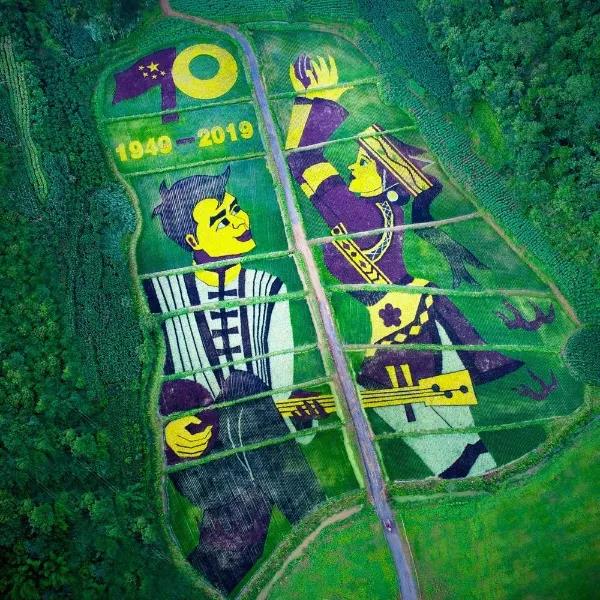 农村人居环境整治村庄清洁行动方案