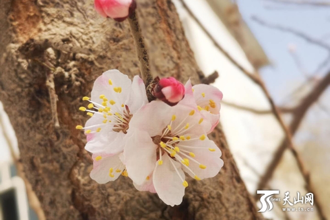 00351590959_6bf2873c 00351590959_6bf2873c