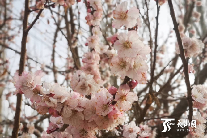 00351590960_8fa00680 00351590960_8fa00680