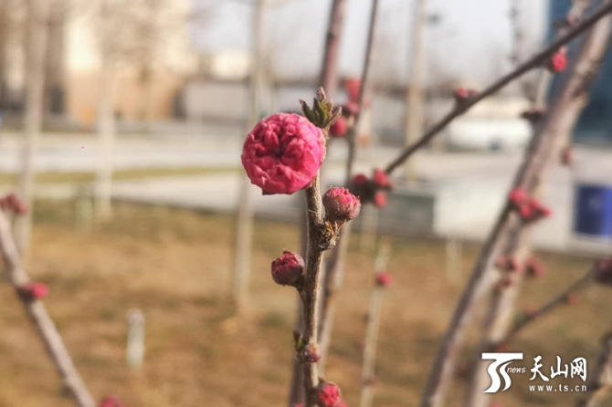 00351590961_381c360f 00351590961_381c360f