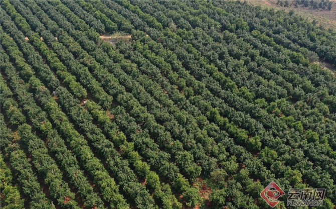 00301551221_4a11bd33 00301551221_4a11bd33