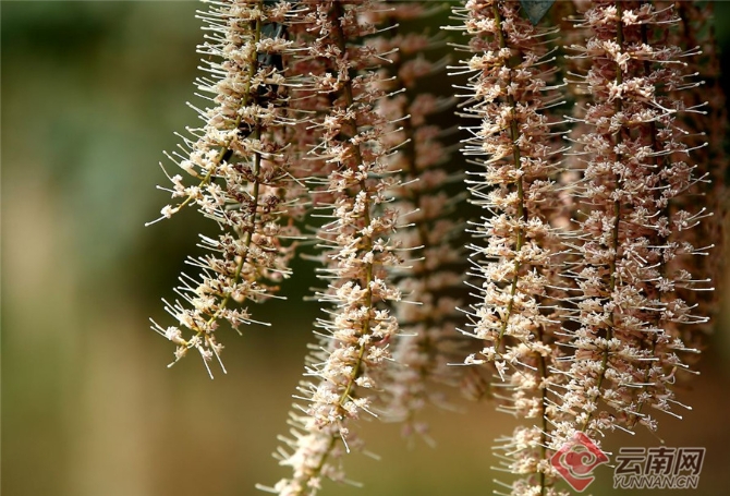 00301551222_865b401b 00301551222_865b401b