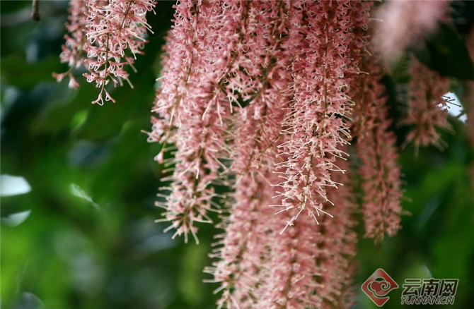 00301551223_3bbc5d6d 00301551223_3bbc5d6d