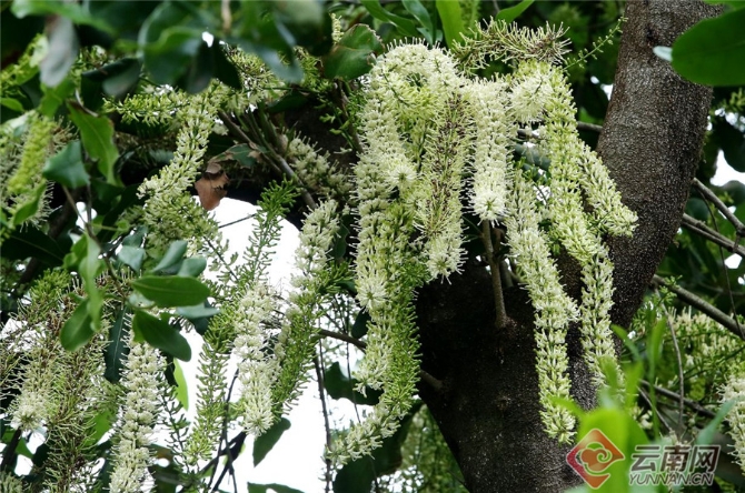 00301551224_17091711 00301551224_17091711