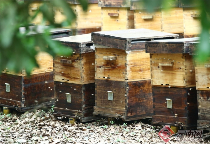 00301551225_ca4e8db9 00301551225_ca4e8db9