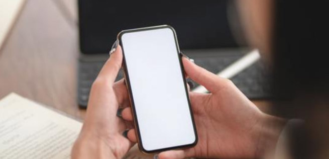 005056b8b7481fd93a7701