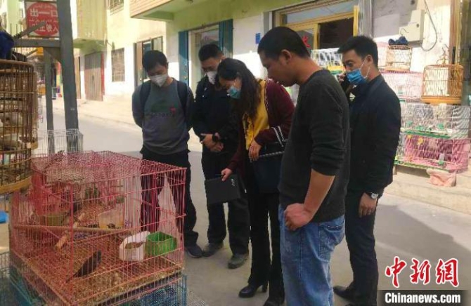 阿克苏地区查获3起涉嫌违法经营野生动物案。　潘志安 摄