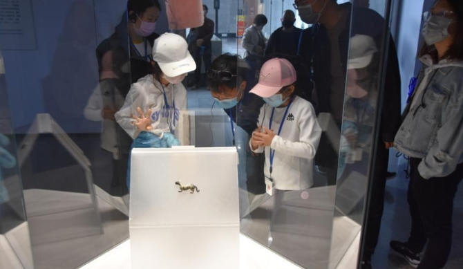 微信截图_20200326094822