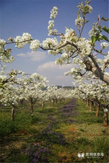 微信图片_20200329114145