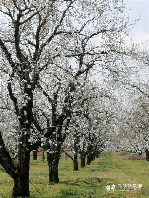 微信图片_20200329114223