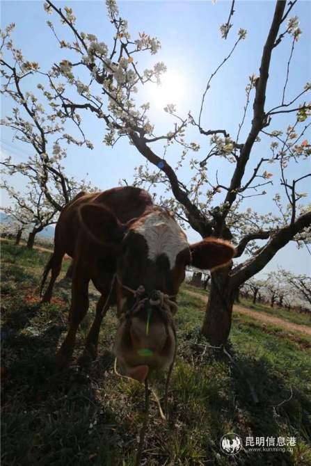 微信图片_20200329121012