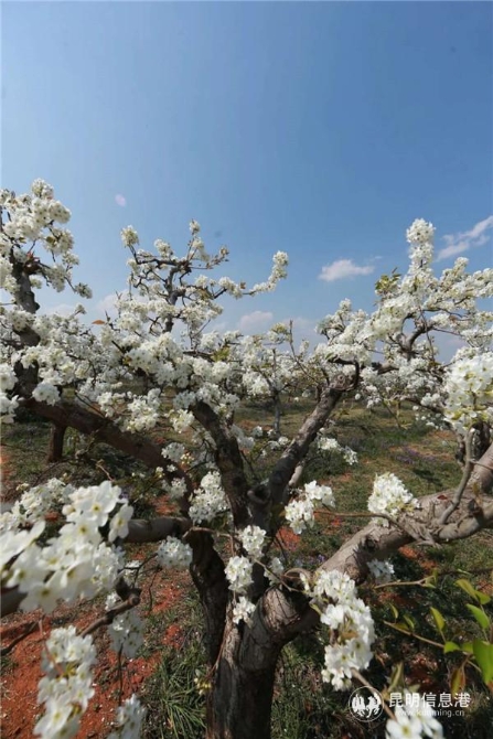 微信图片_20200329121052