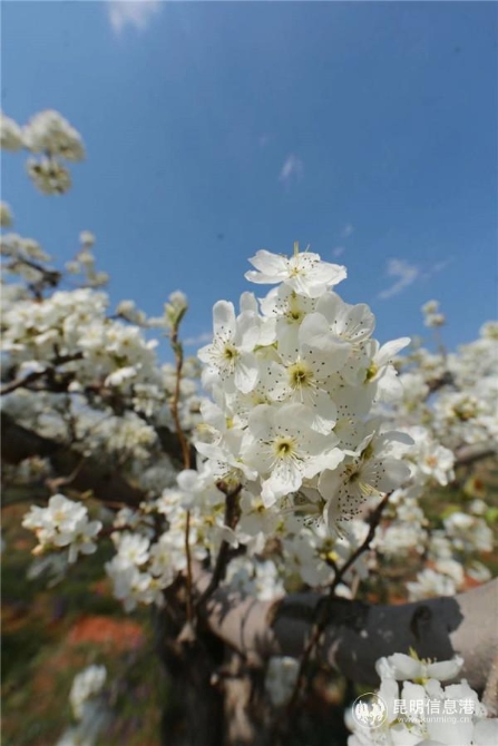 微信图片_20200329121100